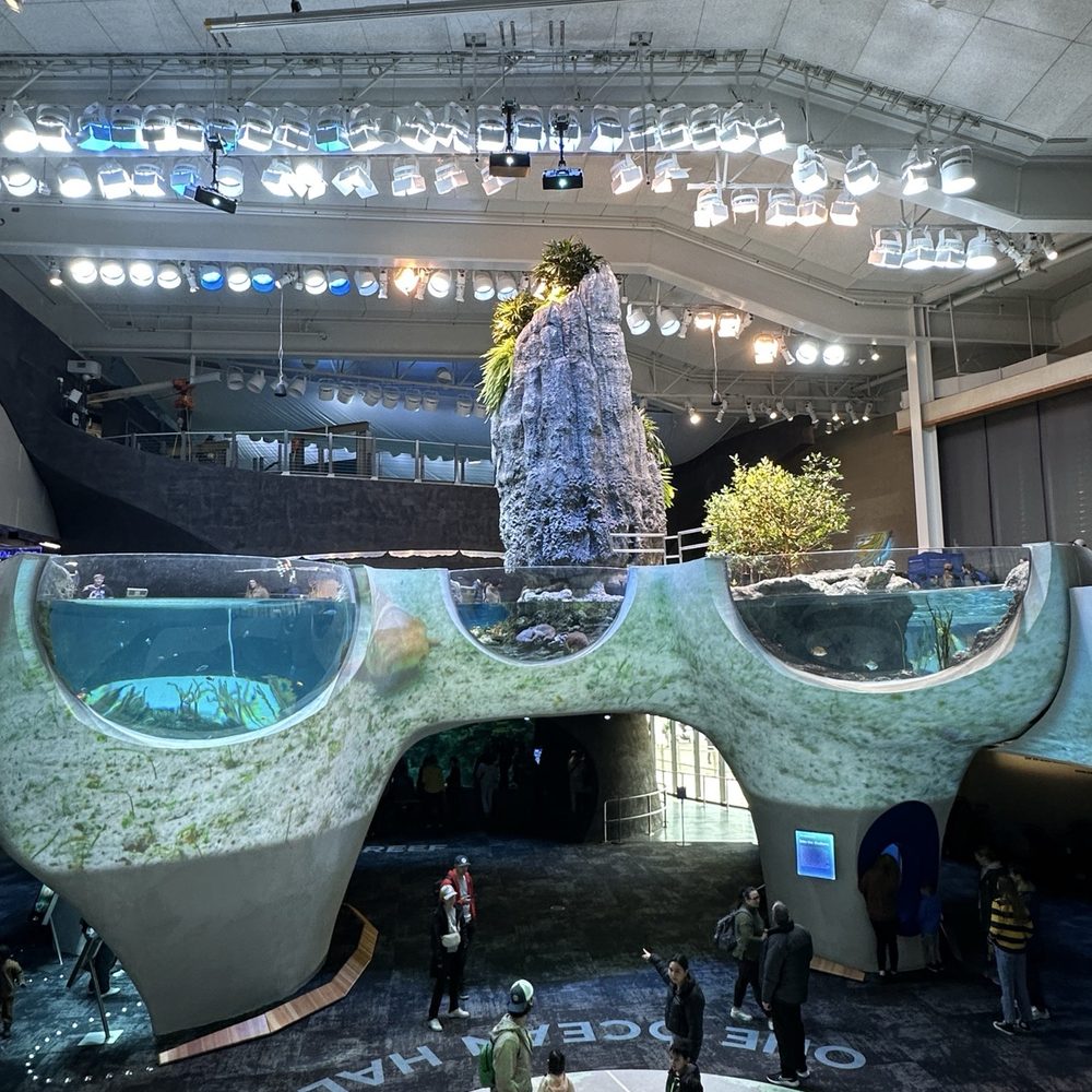 Seattle Aquarium - New addition - Aquariums Near Me - Seattle, Washington Seattle Aquarium - New addition - Aquariums Near Me - Seattle, Washington