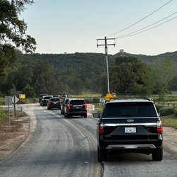 Tigers Limo - Our fleet