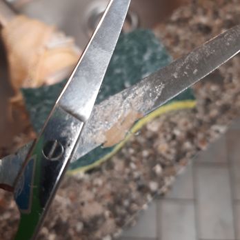 Home Instead - These are special scissors that the helper used to trim my dad's colostomy bags to fit because he couldn't see.  Gross! - Home Health Care Near Me - Jackson, Tennessee