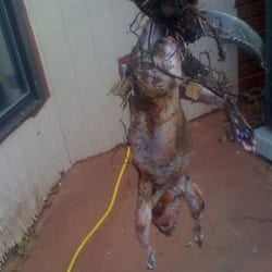 MetroRooter Plumbing