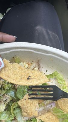 Chipotle Mexican Grill by null