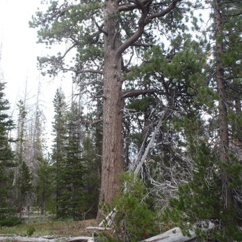 North Sister - Hiking Near Me - Bend, Oregon North Sister - Hiking Near Me - Bend, Oregon