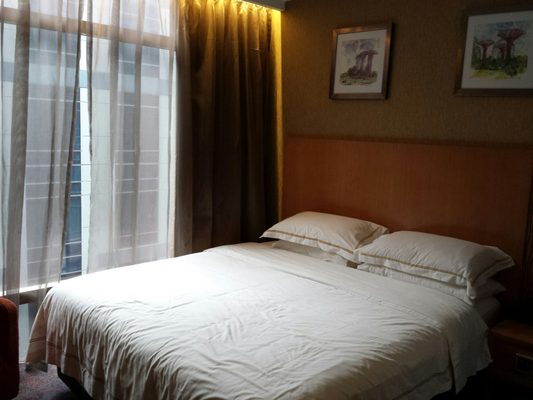Hotel Grand Central by null