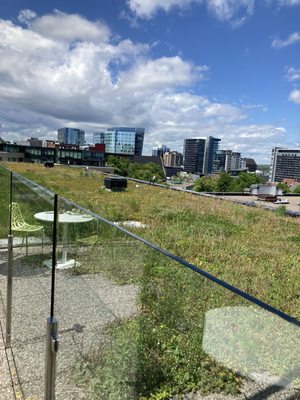 Halifax Central Library by null