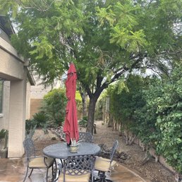 Excellent work in cleaning and maintenance backyard. Excellent work in cleaning and maintenance backyard.