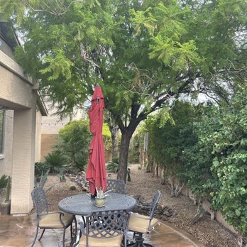 Astonishing Landscape & Design - Excellent work in cleaning and maintenance backyard. - Landscaping Near Me Astonishing Landscape & Design - Excellent work in cleaning and maintenance backyard. - Landscaping Near Me