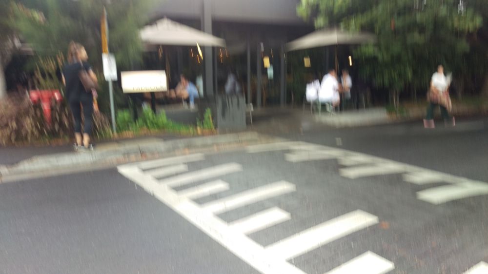 TOP PADDOCK CAFE - Updated June 2025 - 231 Photos & 107 Reviews - 658 ...