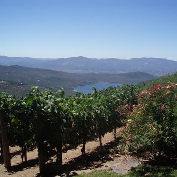 Kuleto Estate - Wine Tasting Room Near Me - Saint Helena, California Kuleto Estate - Wine Tasting Room Near Me - Saint Helena, California