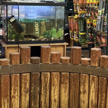 Reptile Island - Pet Stores Near Me - Stanton, California Reptile Island - Pet Stores Near Me - Stanton, California