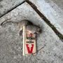 Supreme Pest Elimination