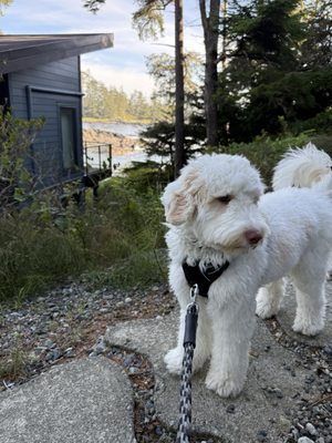 Black Rock Oceanfront Resort by null