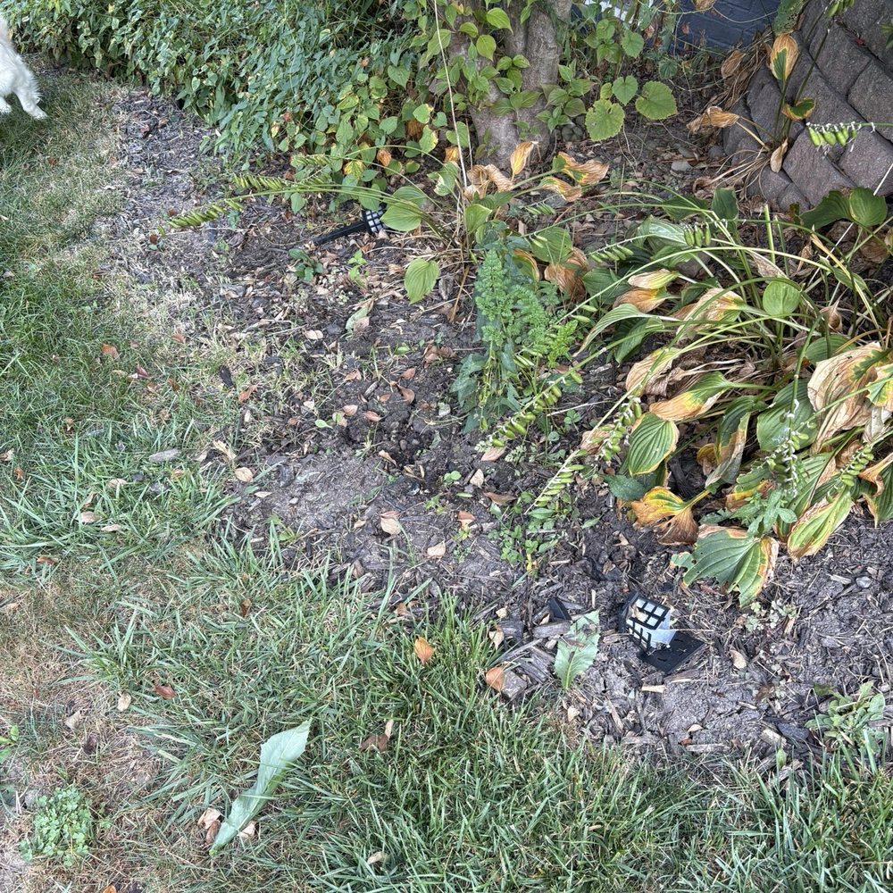 TruScape - Lawn Services Near Me - Greensburg, Pennsylvania TruScape - Lawn Services Near Me - Greensburg, Pennsylvania