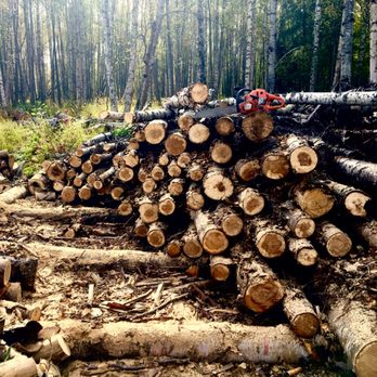 Fishhook Tree Services - Tree Services Near Me