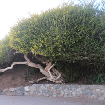 Heisler Park - Parks Near Me - Laguna Beach, California Heisler Park - Parks Near Me - Laguna Beach, California