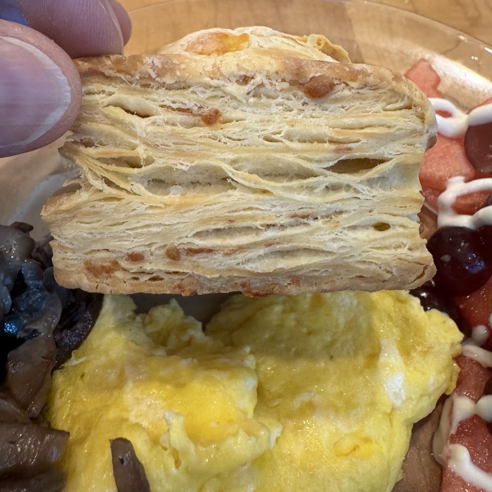 The SconeWitch - Cafes Near Me - Ottawa, Ontario The SconeWitch - Cafes Near Me - Ottawa, Ontario