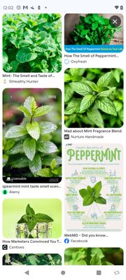 St. Michael's Cathedral Basilica by null