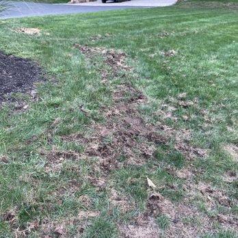 TruGreen Lawn Care - Tree Services Near Me - Danbury, Connecticut TruGreen Lawn Care - Tree Services Near Me - Danbury, Connecticut