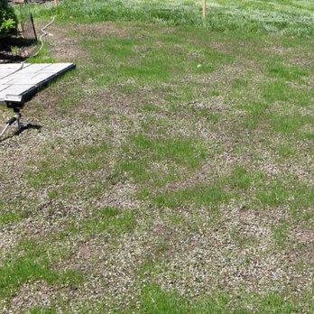 AKA Lawn Care & Design - Grass I reseeded. His was put down by hand and no spreader. Grass coming in nice. - Tree Services Near Me