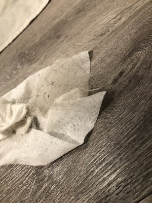 The Baxter Decatur Apartments by null