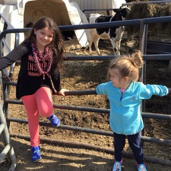 Wright's Dairy Farm & Bakery - The girls just love Wright's farm!!! - Bakeries Near Me - North Smithfield, Rhode Island Wright's Dairy Farm & Bakery - The girls just love Wright's farm!!! - Bakeries Near Me - North Smithfield, Rhode Island