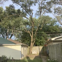Sofia's Tree Care
