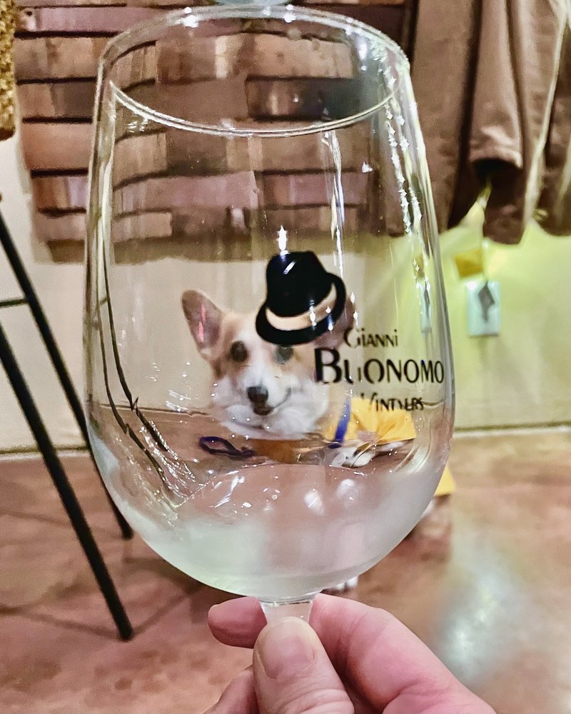 Gianni Buonomo Vintners - vineyard in San Diego, CA