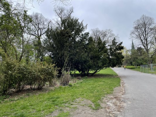 Viktoria Park by null