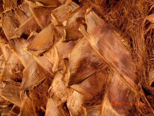 Miracle Manor Boutique Hotel & Spa by null