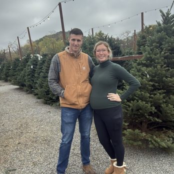 Mickelson Christmas Trees - Christmas Trees Near Me - Petaluma, California Mickelson Christmas Trees - Christmas Trees Near Me - Petaluma, California