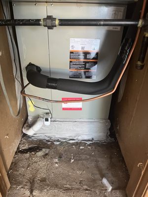 Hill & Company Service, Inc