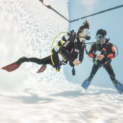 Divers Cove - Kids love to scuba dive
