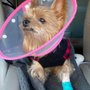 Photo of Bartram Trail Veterinary Hospital