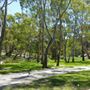 Photo of River Torrens Linear Reserve
