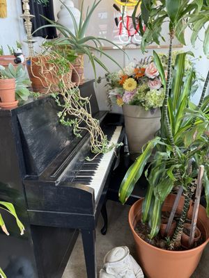 Big Dom's Bagel Shop by null