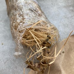 Park Seed - $16.95 geranium