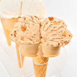 Snelgrove Ice Cream - Snelgrove's Classic Twin Cones