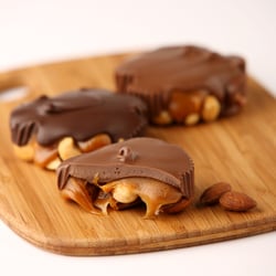 Long Grove Confectionery - Buffalo Grove - Giant Myrtle®