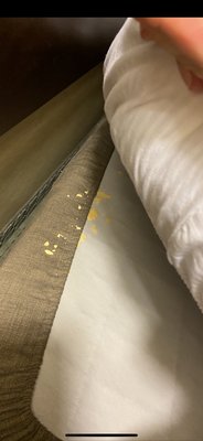 Little Missouri Inn & Suites New Town by null