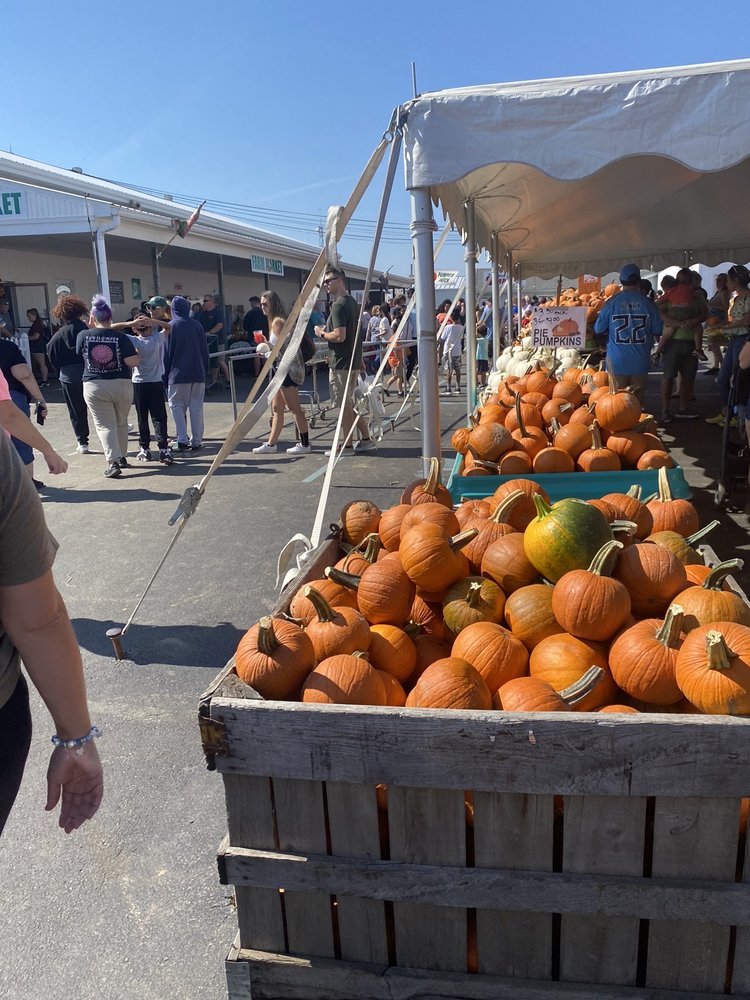 FARM MARKET Updated August 2024 25 Photos 19816 Huber Rd, Borden