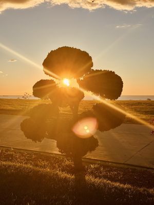 Korean Friendship Bell by null