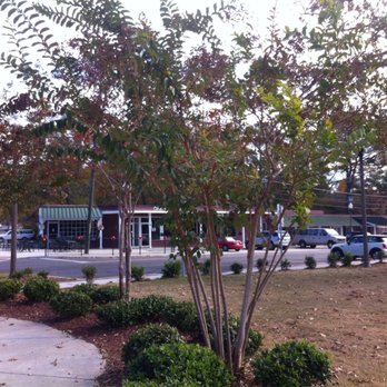 Homewood Central Park - Alt image of Homewood Park - Parks Near Me - Homewood, Alabama