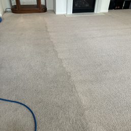 Carpet