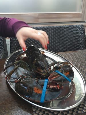 Zelená Zahrada by null