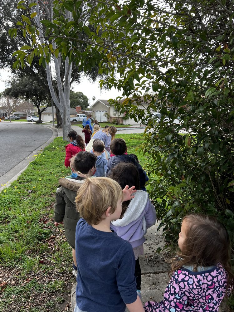 Ventura Montessori School - childcare center in Ventura, CA