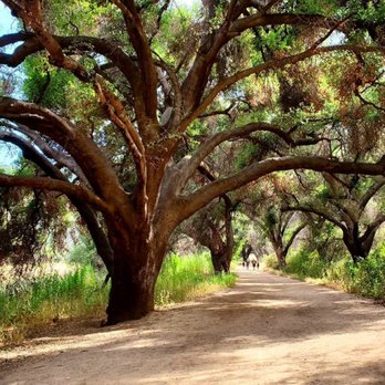 Malibu Creek State Park - Oak covered trails - Campgrounds Near Me - Calabasas, California Malibu Creek State Park - Oak covered trails - Campgrounds Near Me - Calabasas, California
