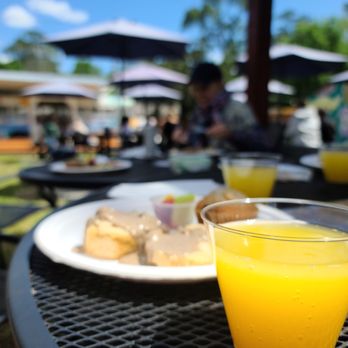 Curia On the Drag - Vegan brunch... just one mimosa per person for $20.00 was a blur. - Coffee & Tea Near Me - Gainesville, Florida