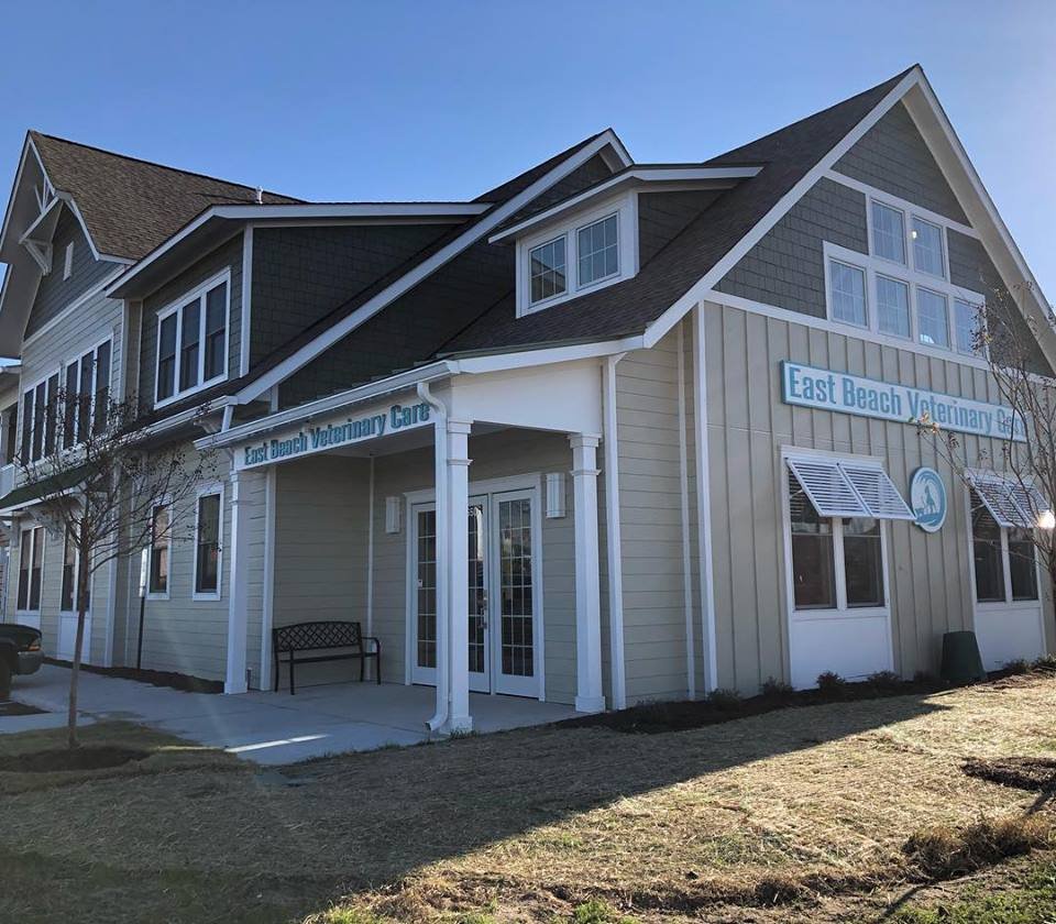 beach veterinary clinic
