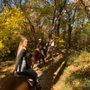 Photo of Blowing Rock Trail Rides