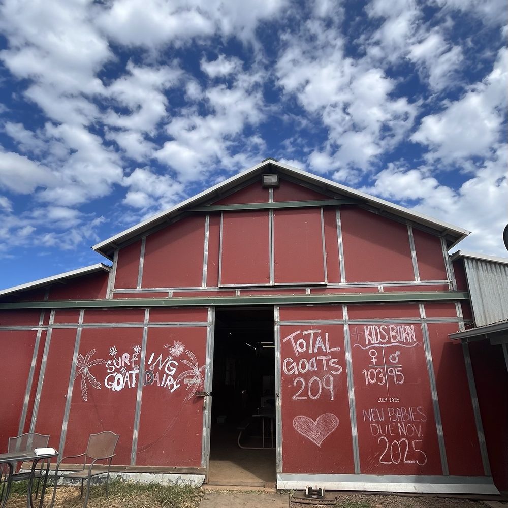 Surfing Goat Dairy - Cheese Shops Near Me - Kula, Hawaii Surfing Goat Dairy - Cheese Shops Near Me - Kula, Hawaii