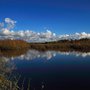 Photo of Naturschutzgebiet Tävsmoor / Haselauer Moor